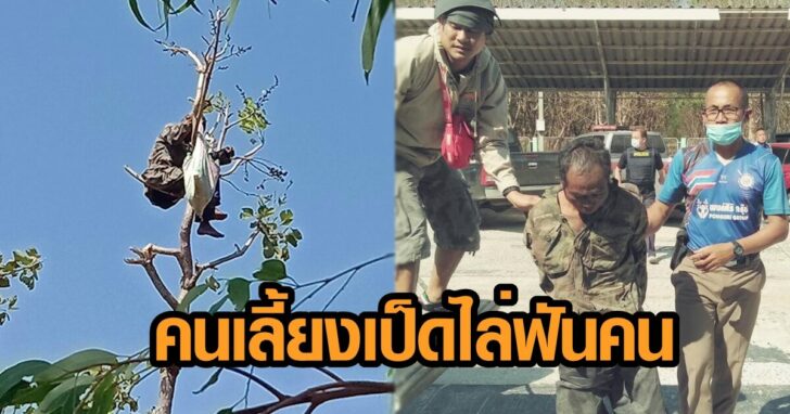 เลี้ยงเป็ด