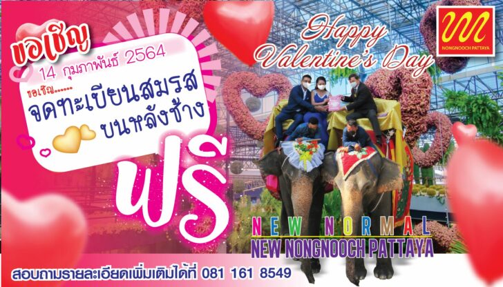 แบบ2-01
