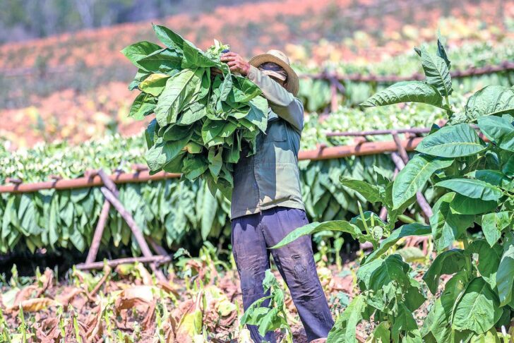 This image is not belong to us