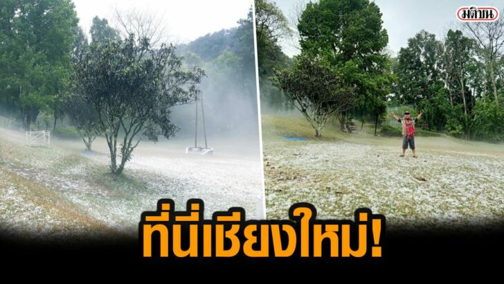 โควืด5565656
