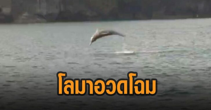 This image is not belong to us