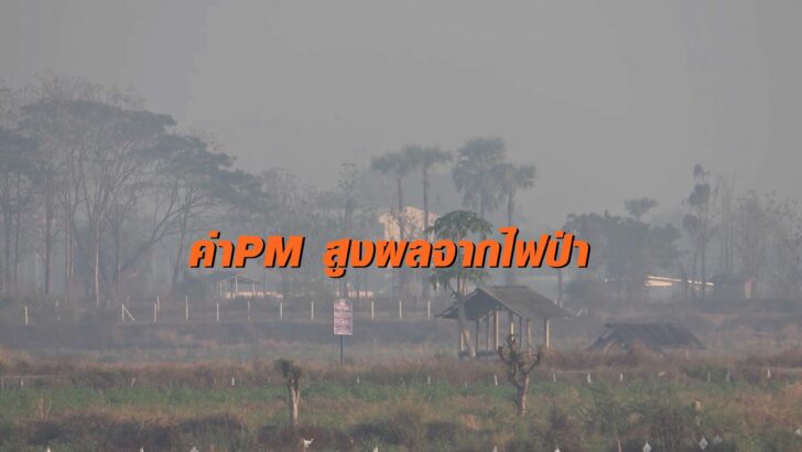 ไฟป่า