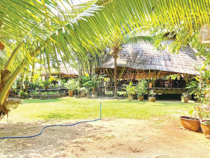 ยกวงซิมโฟนีไปแสดงเพลงรองเง็งที่กระบี่ บทเพลงแห่งทะเลอันดามัน