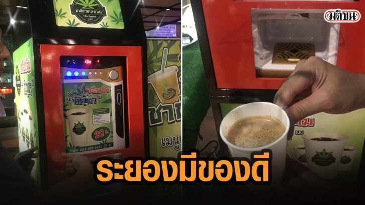 14เมัเะ