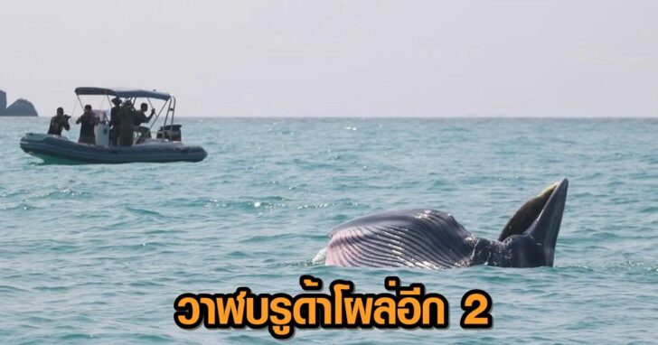 This image is not belong to us