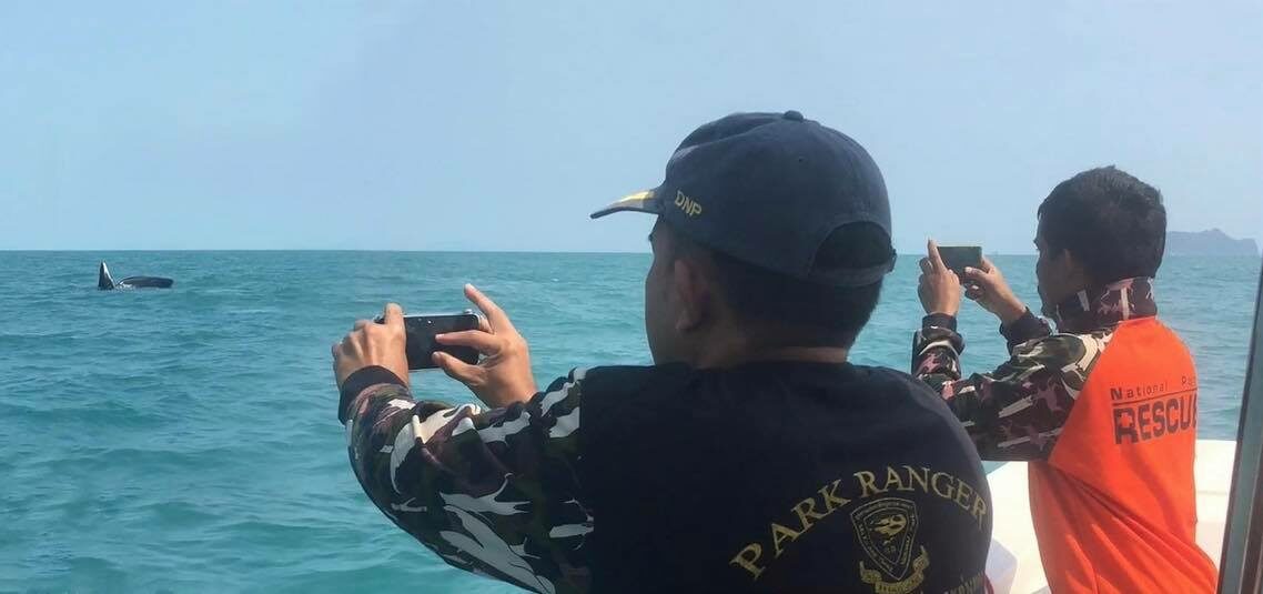 This image is not belong to us