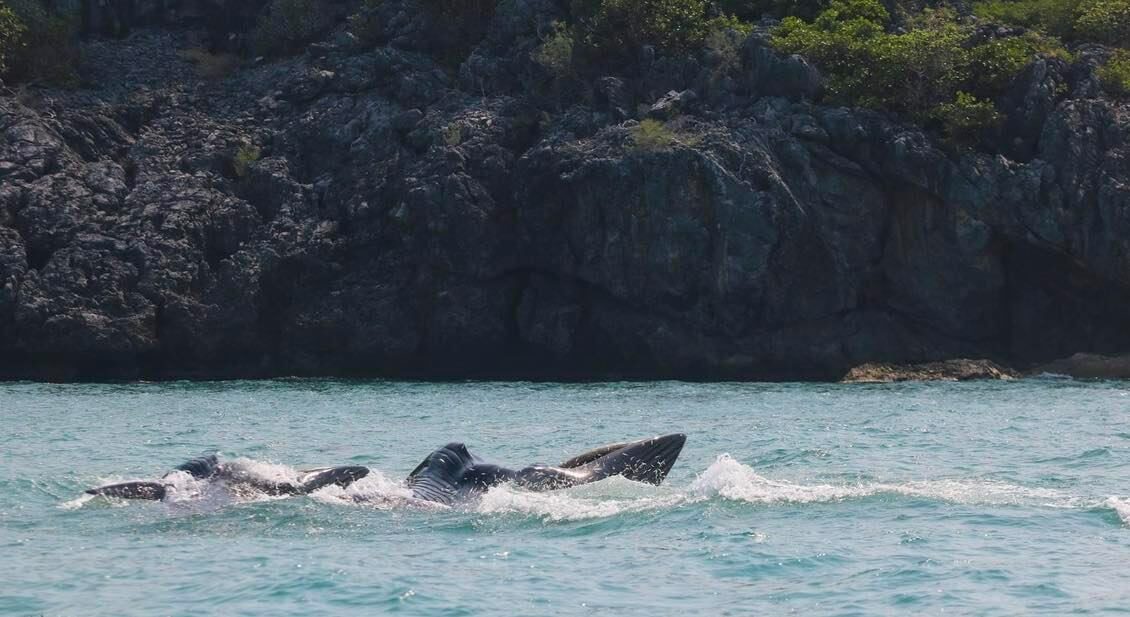 This image is not belong to us