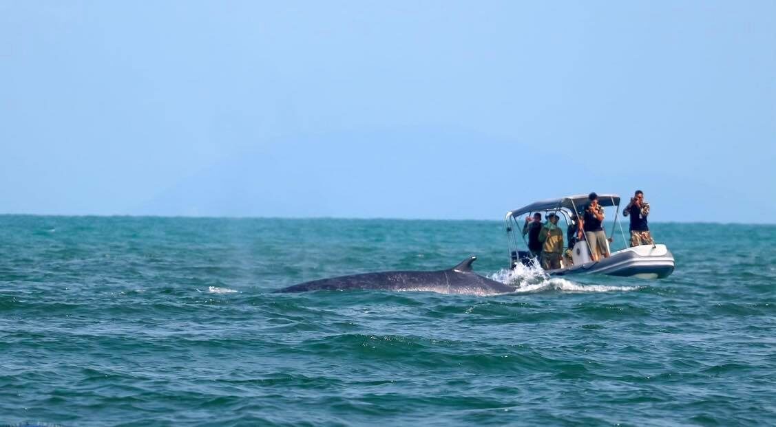 This image is not belong to us