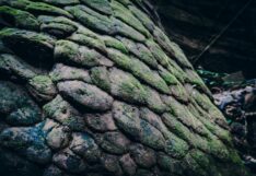 อันซีน ‘ถ้ำนาคี’ อัศจรรย์แดนศักดิ์สิทธิ์ พิชิตเส้นทางลี้ลับภูลังกา