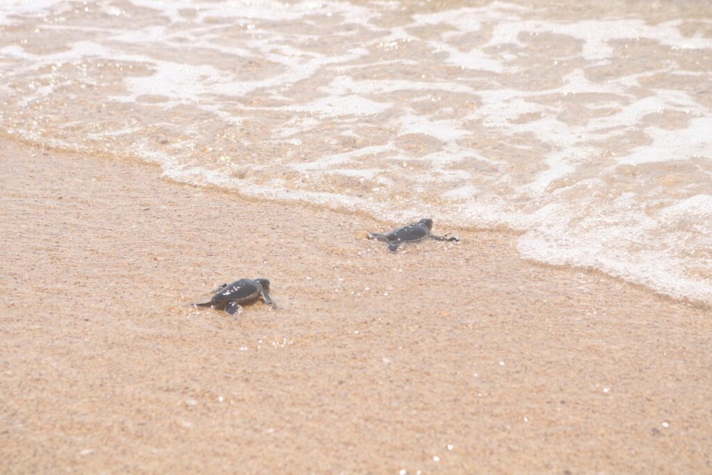 This image is not belong to us