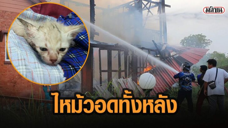 32เัา