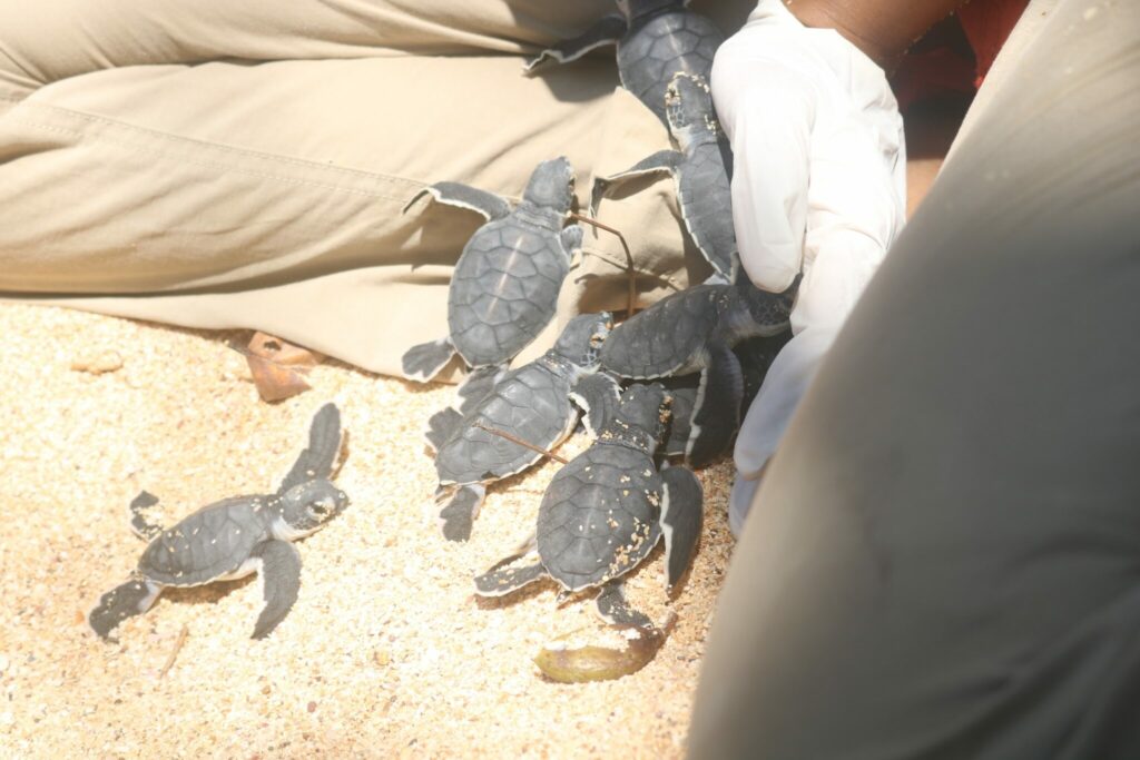 This image is not belong to us