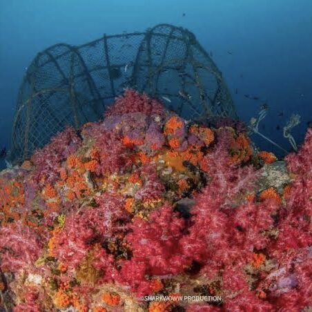 This image is not belong to us