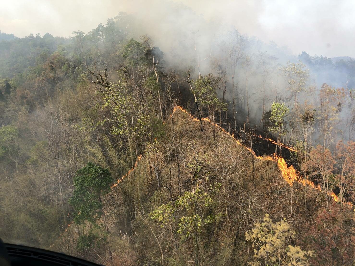 This image is not belong to us