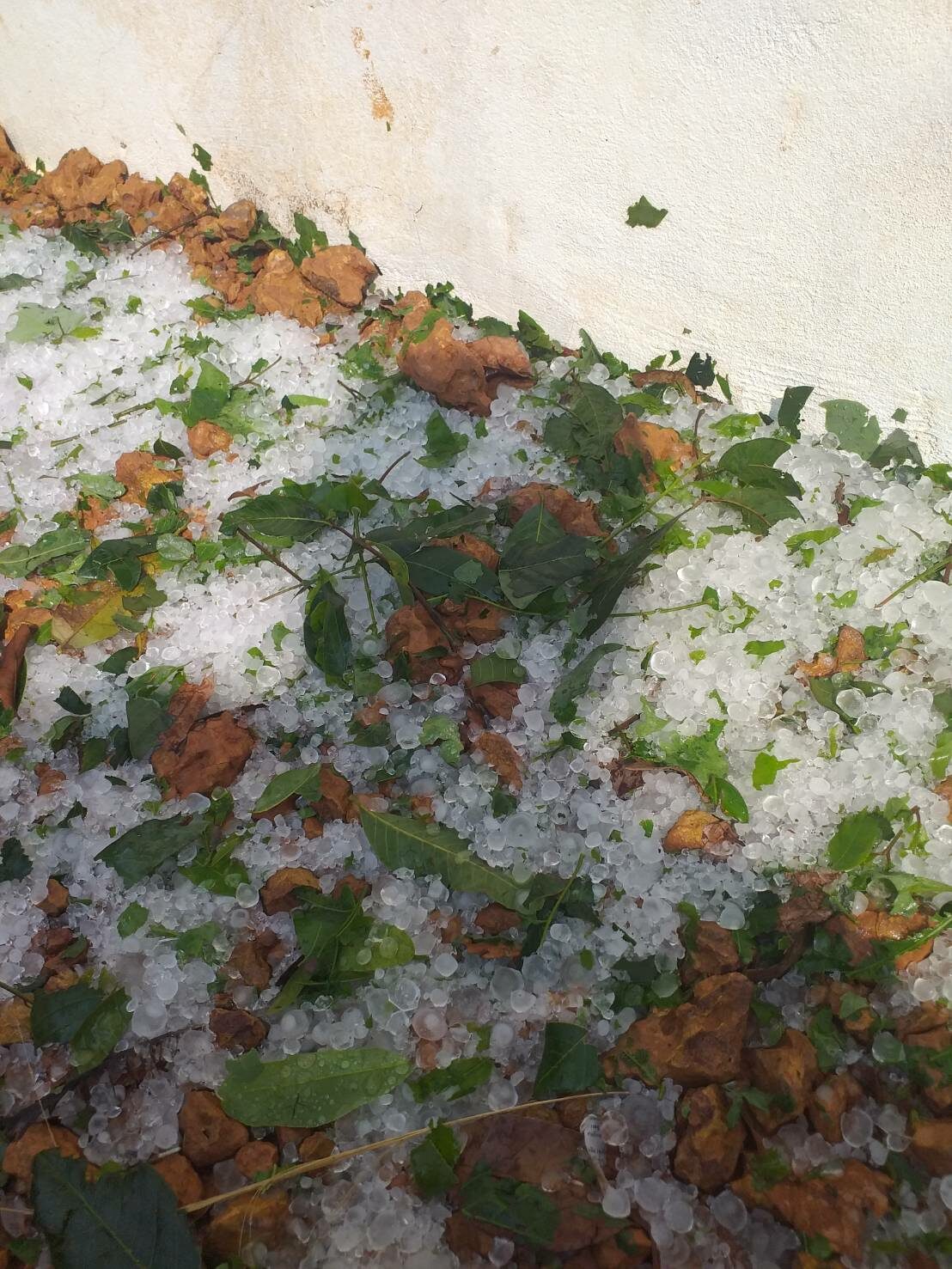 This image is not belong to us