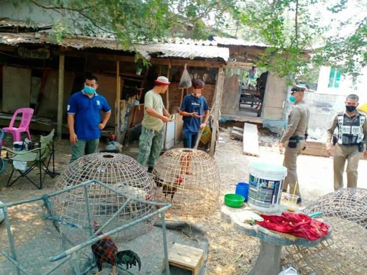 978333 This image is not belong to us