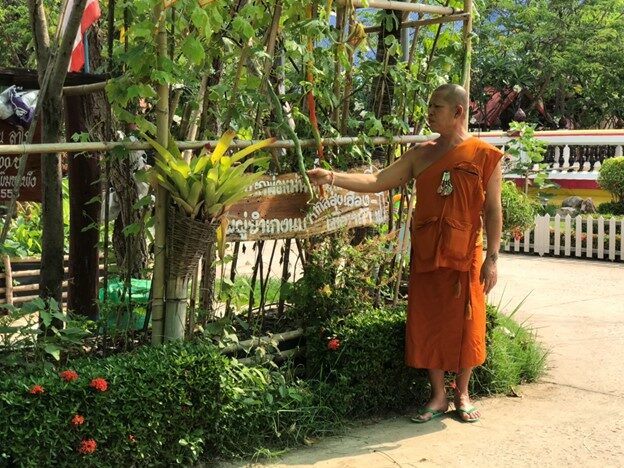 This image is not belong to us