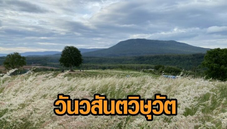 S__2580496-1024x768