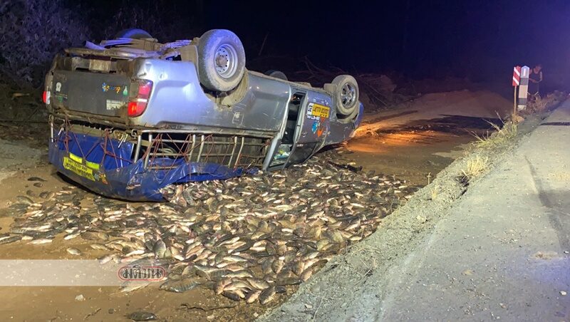 This image is not belong to us