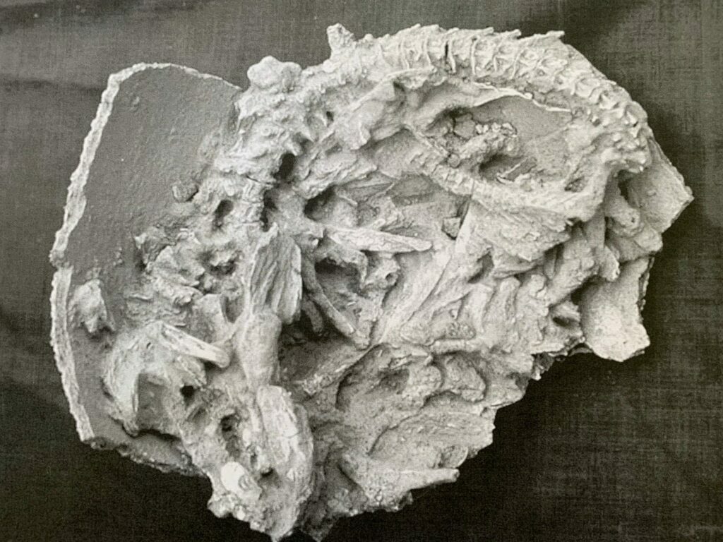 This image is not belong to us