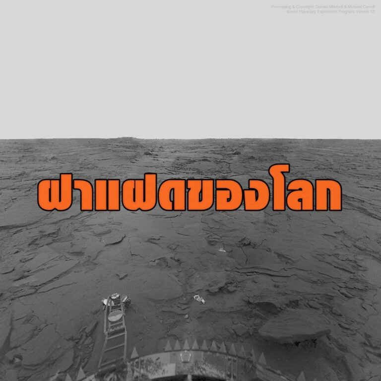 My Image 49