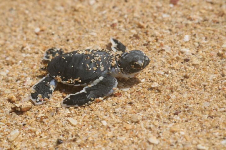 This image is not belong to us