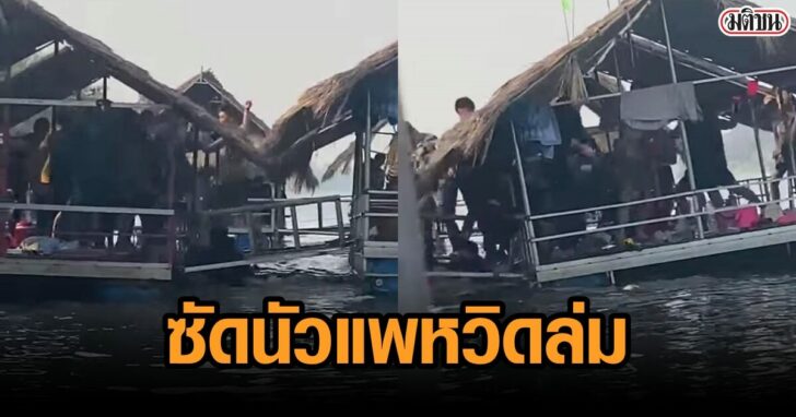 cats This image is not belong to us