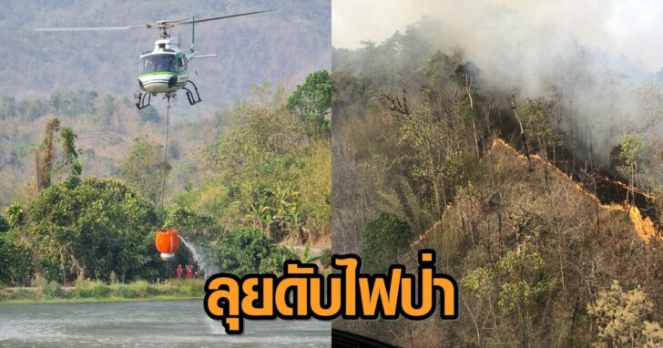 This image is not belong to us