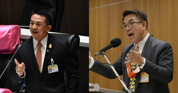 cats+++784651 This image is not belong to us