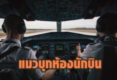 เครื่องบินโดยสารซูดาน เจอแมวบุกห้องนักบิน จนต้องนำเครื่องลงฉุกเฉิน