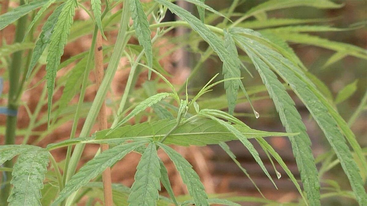 This image is not belong to us