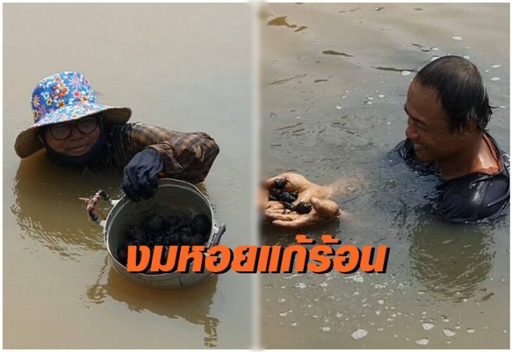 งมหอย