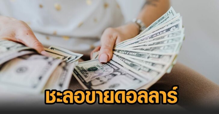 ชะลอขายดอลลาร์