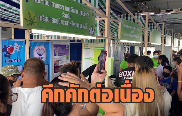 บูธกัญชา13