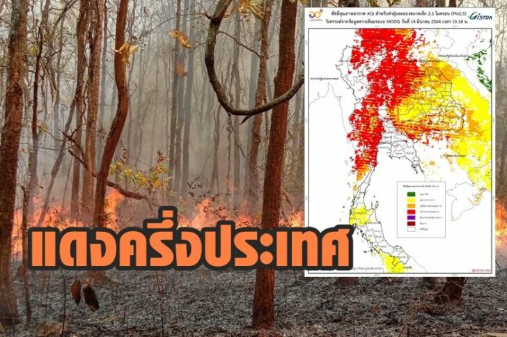 ฝุ่นเพิ่ม3