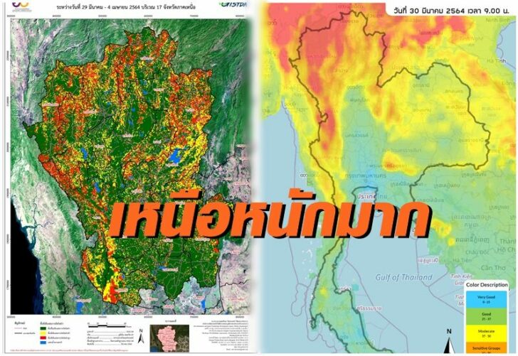 ฝุ่นเหนือ This image is not belong to us