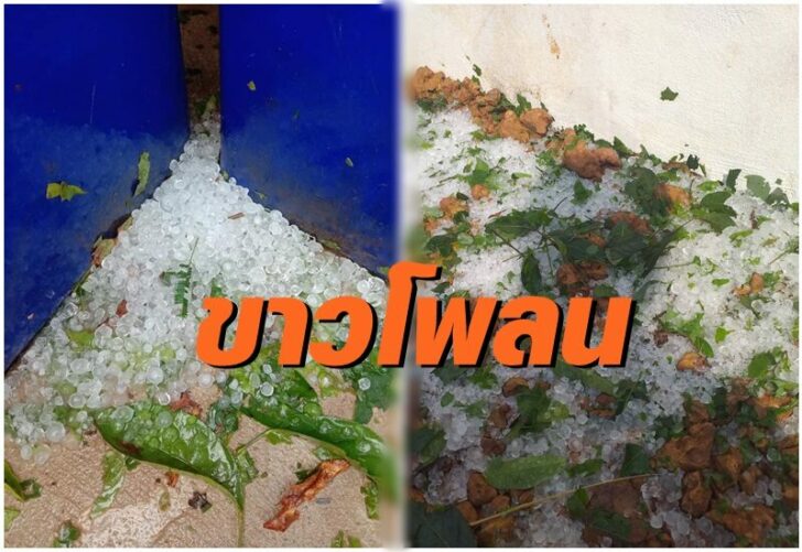 This image is not belong to us