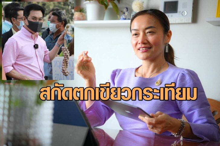 สกัดตกเขียวกระเทียม-ติ่ง