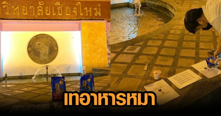 เทอาหารหมา 5412