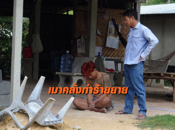 เมาคลั่ง