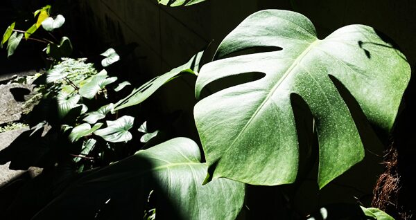 คอลัมน์แทงก์ความคิด : รอให้พิสูจน์