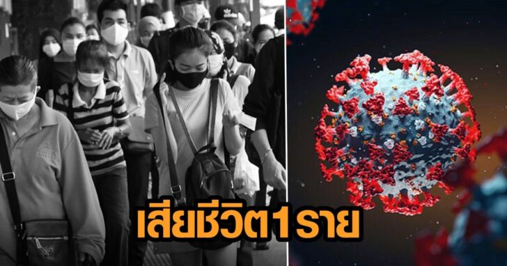 โควิดระบาด11