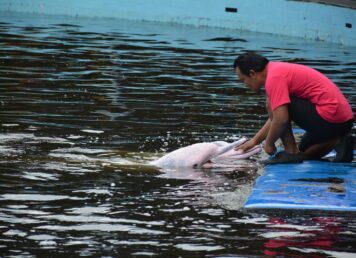 พ่อเมืองจันทบุรี นำทุกภาคส่วนเยี่ยมชมโลมา ‘โอเอซีส ซีเวิลด์’ ผู้บริหารชวนเที่ยว ต่อลมหายใจให้สู้ต่อ