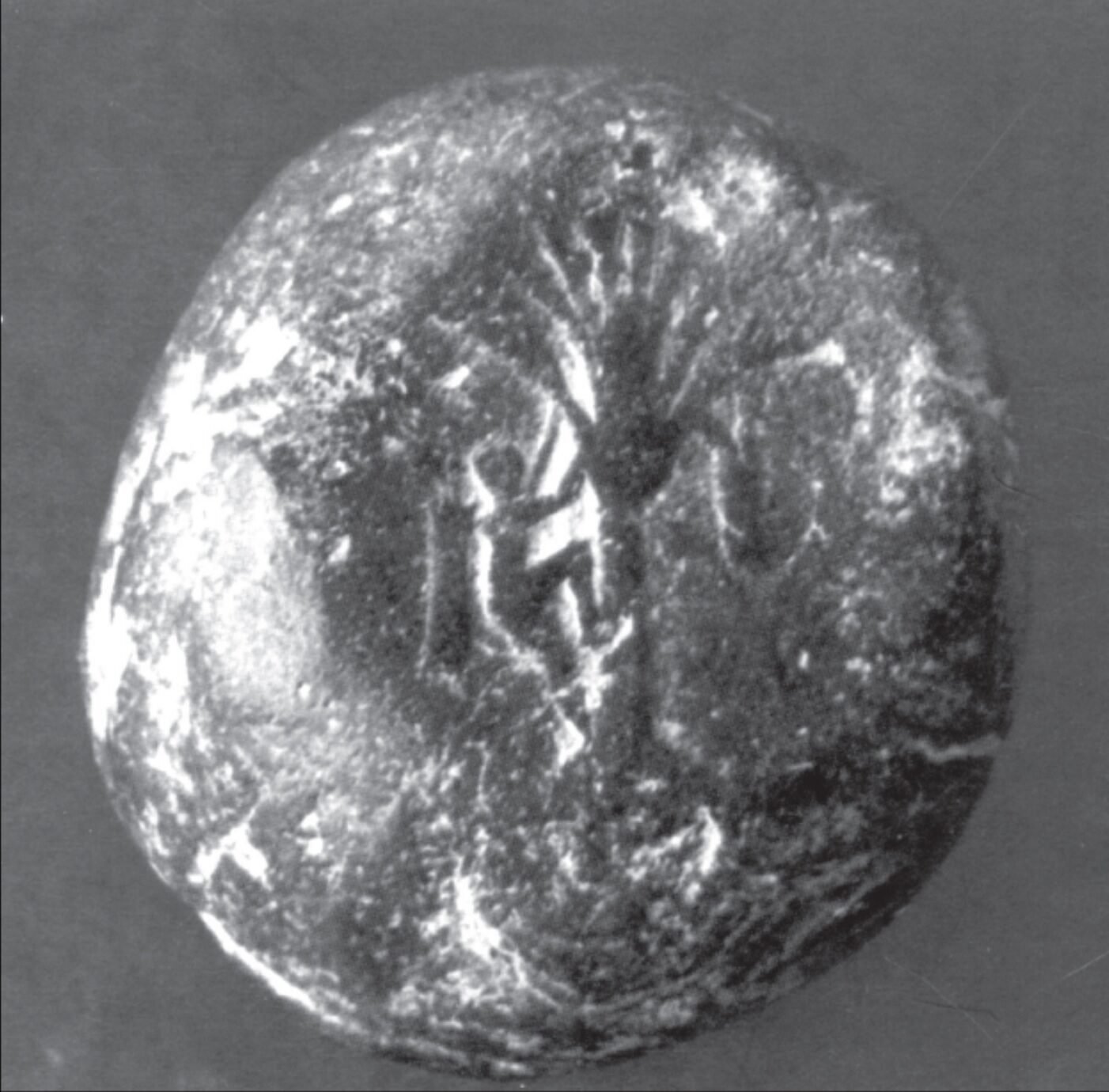 This image is not belong to us