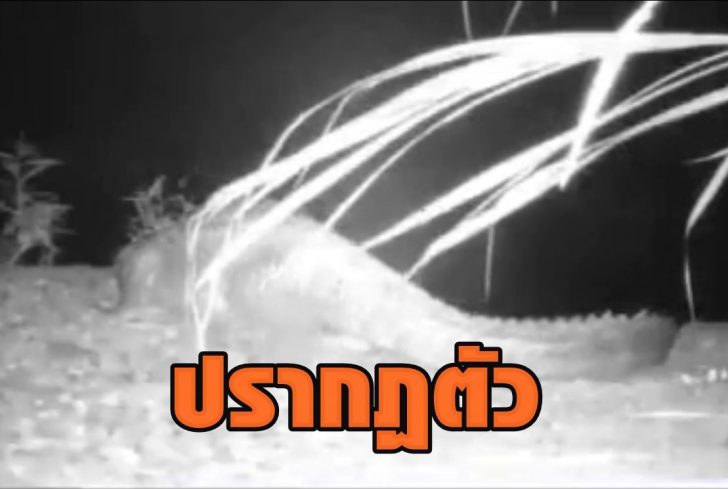 111