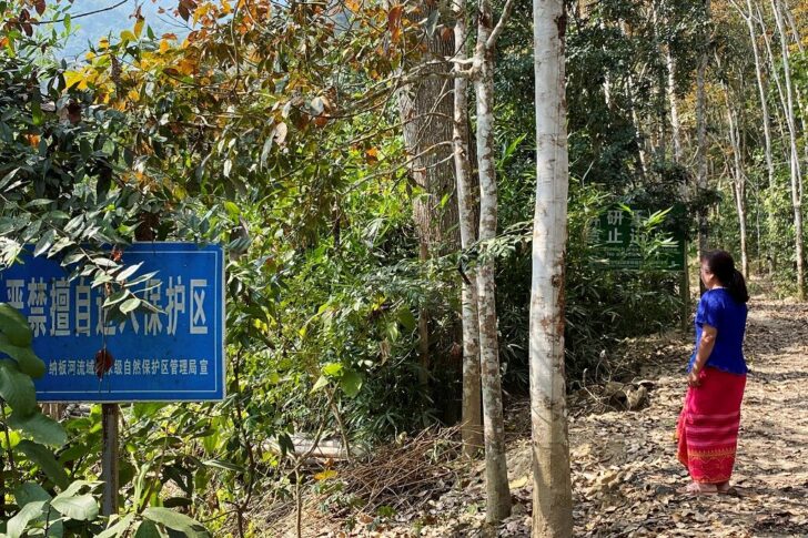 Woman stands near a sign warning people to keep off a nature protection zone, at Mandian village