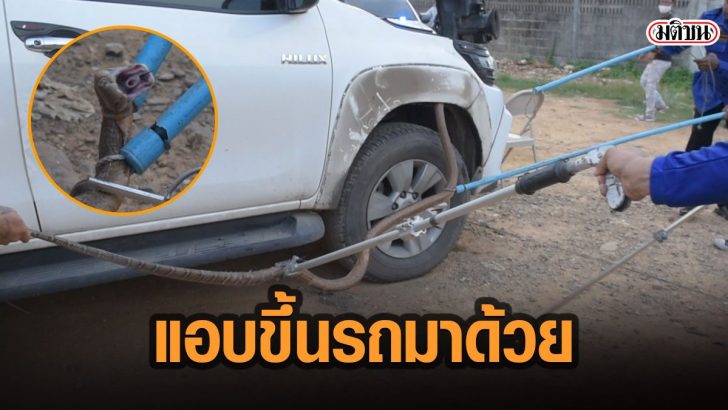 49ีาั