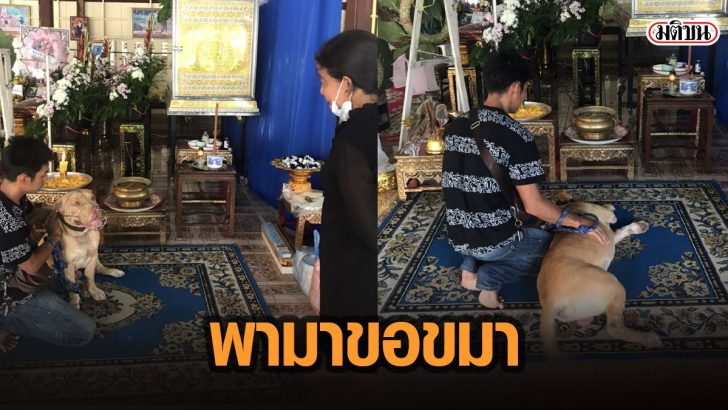 56กด้ำ