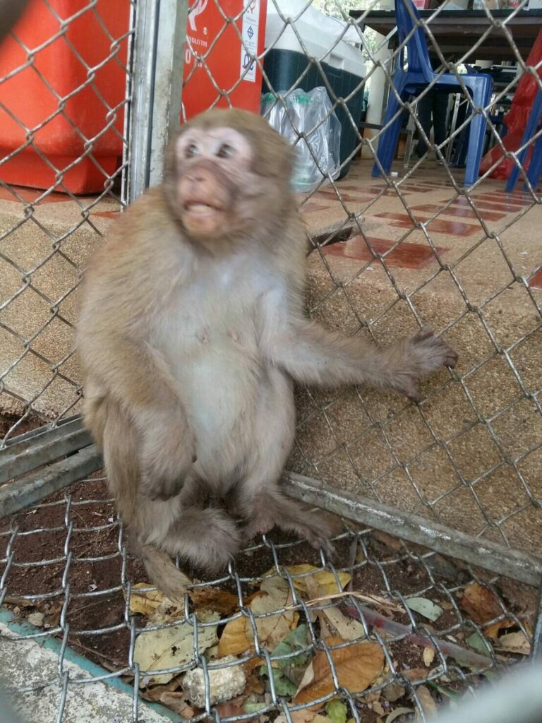 This image is not belong to us