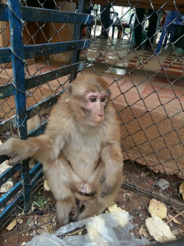 This image is not belong to us